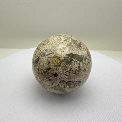 Esfera de Fóssil Clara - Ancestralidade, Sabedoria e Estabilidade.