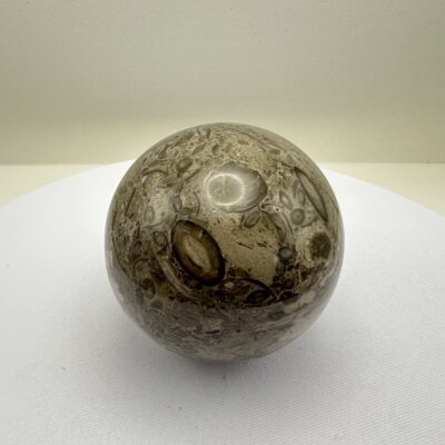 Esfera de Fóssil Escura - Ancestralidade, Sabedoria e Estabilidade.